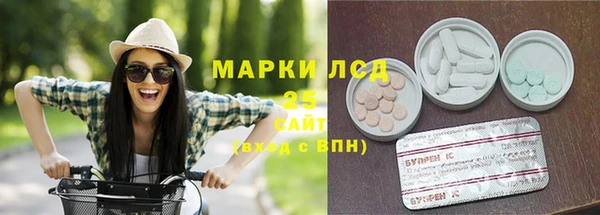 apvp Арсеньев
