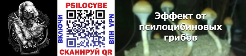 наркошоп Балей Псилоцибиновые грибы Magic Shrooms